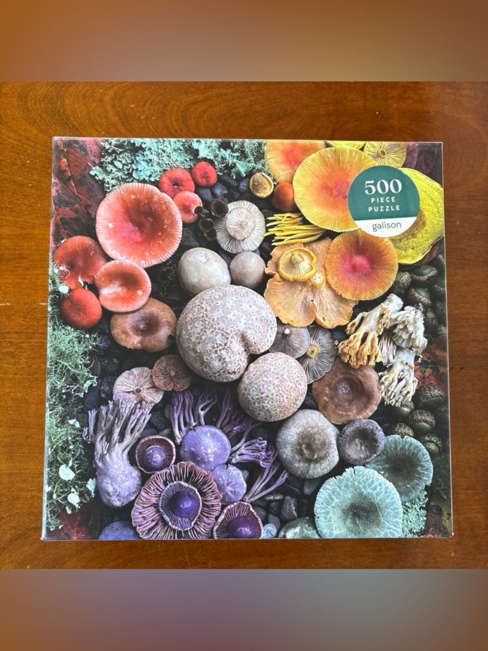 Galison 500-Piece Colorful‎ Mushrooms Puzzle - Multicolor